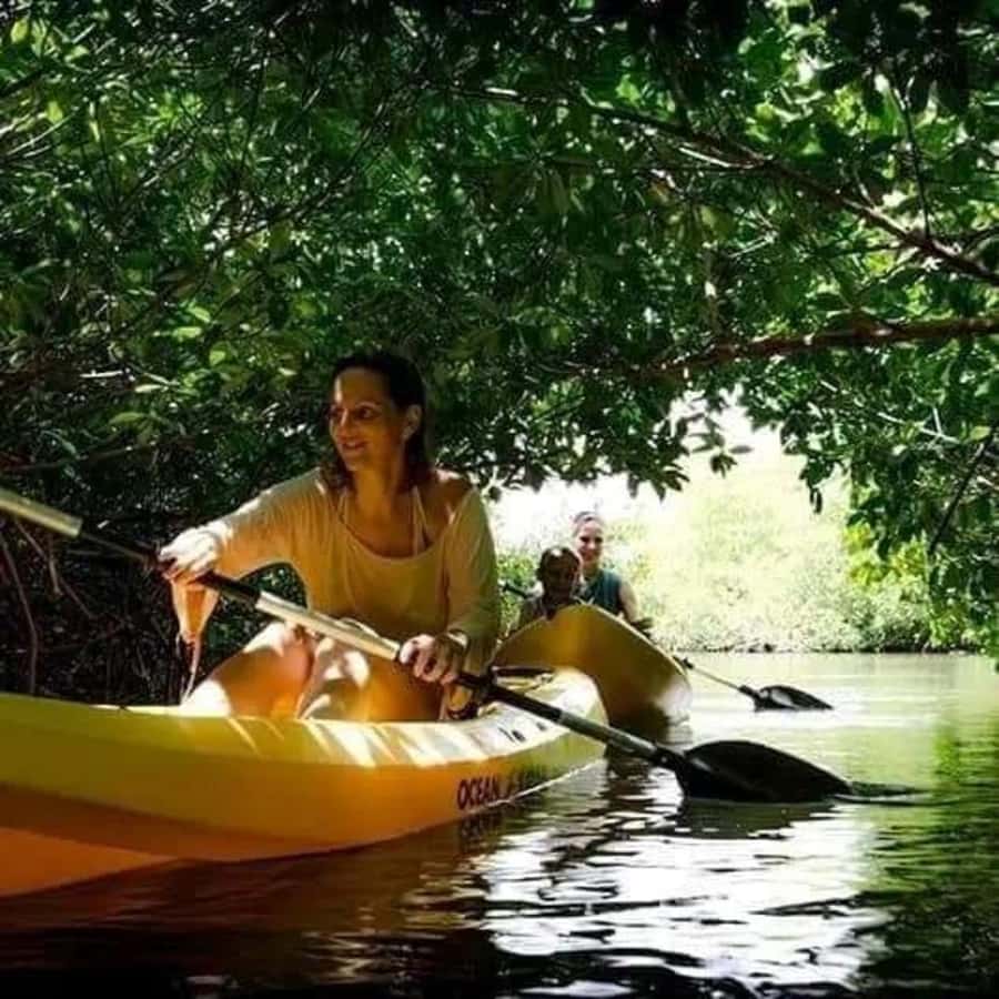 Zanzibar: 3-hour Kayak Tour through the Mangrove Forest - Meeting at Unguja Ukuu Kae Pwani, then getting your sea legs