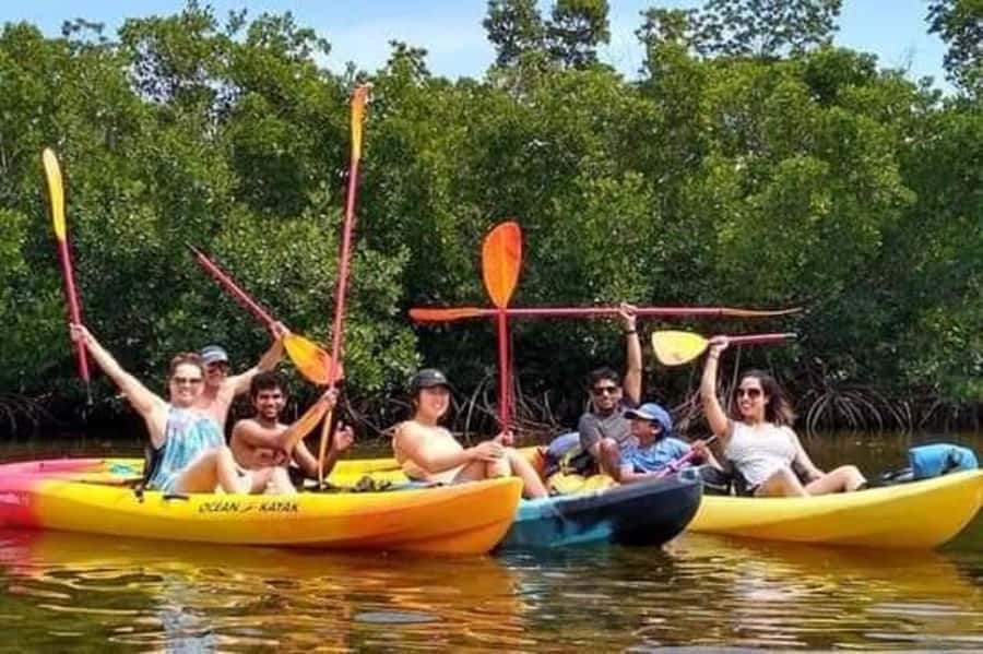 Zanzibar: 3-hour Kayak Tour through the Mangrove Forest - Kayaking the mangrove maze: where the magic really happens