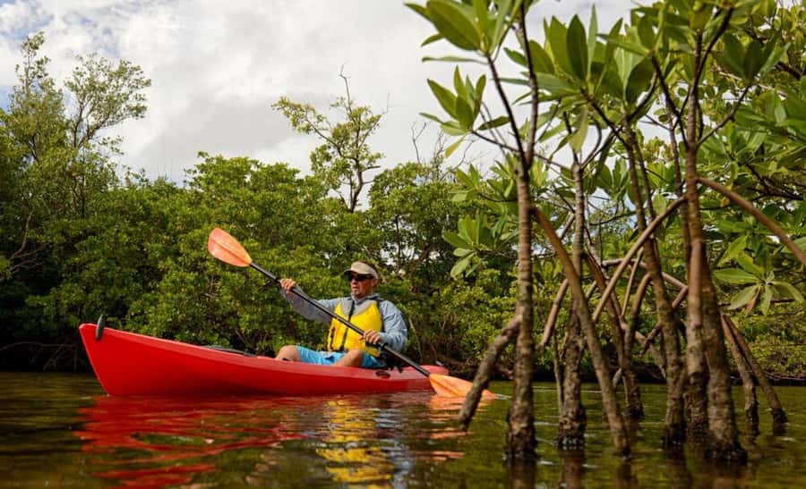 Zanzibar: 3-hour Kayak Tour through the Mangrove Forest - Unguja Ukuu cultural walk: why the land stop matters