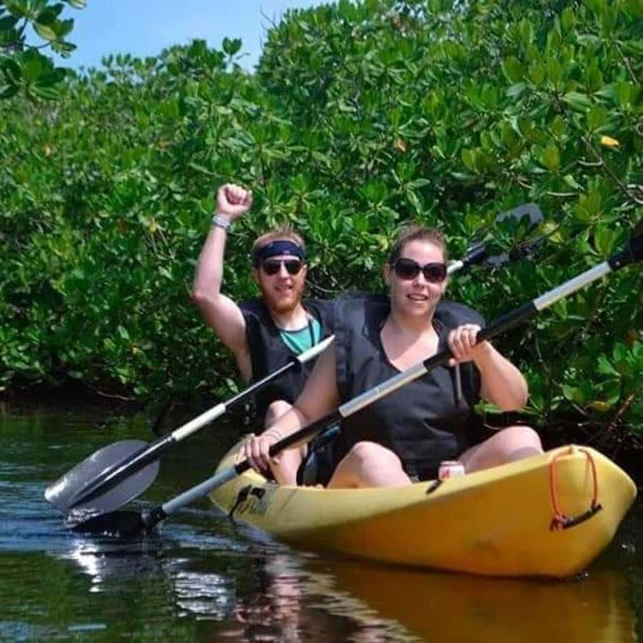 Zanzibar: 3-hour Kayak Tour through the Mangrove Forest - Birdwatching in the bay, with Amor’s bird focus
