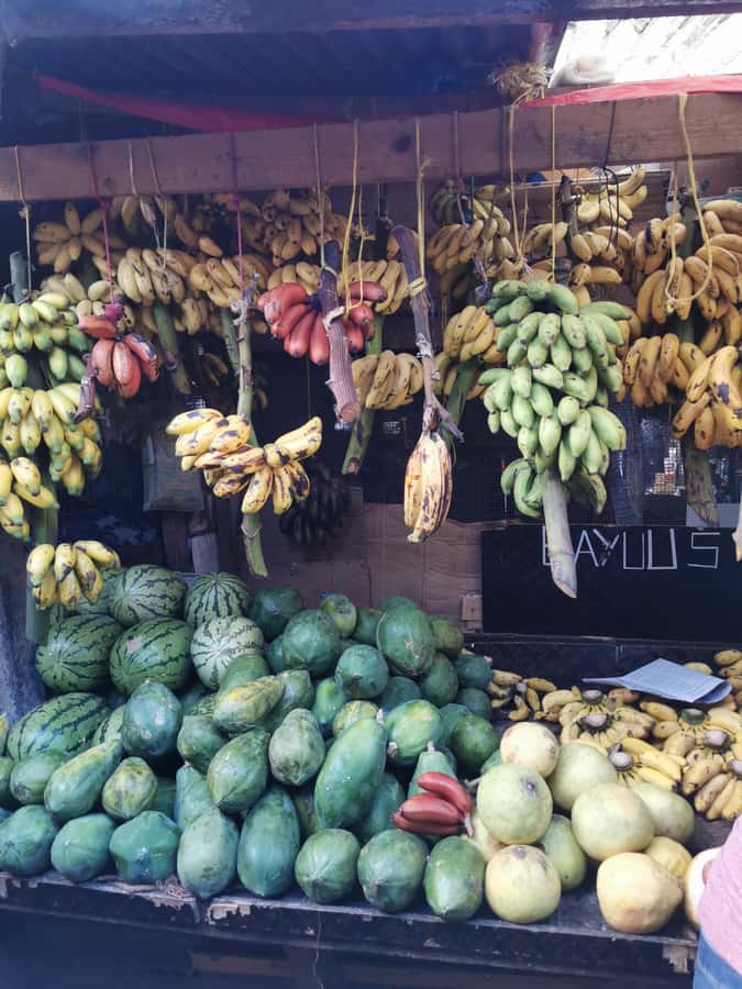 Zanzibar: 3 Hours Private Stone Town walking Tour with Guide - Key Things to Know Before You Go