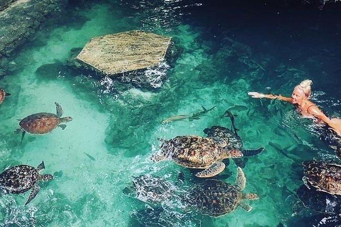 Zanzibar Adventures - Snorkeling Equipment Is Listed as Included, so Confirm What You’ll Actually Do
