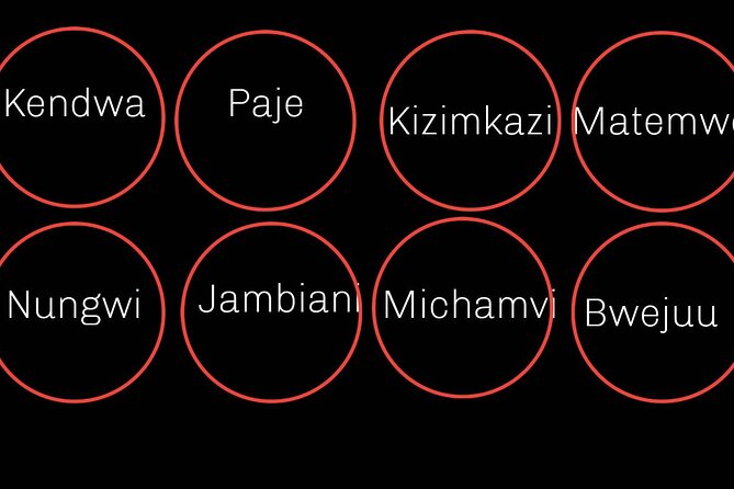 Zanzibar Airport Taxi Nungwi, Paje, Jambiani & All - Private Transfer for Your Group Only