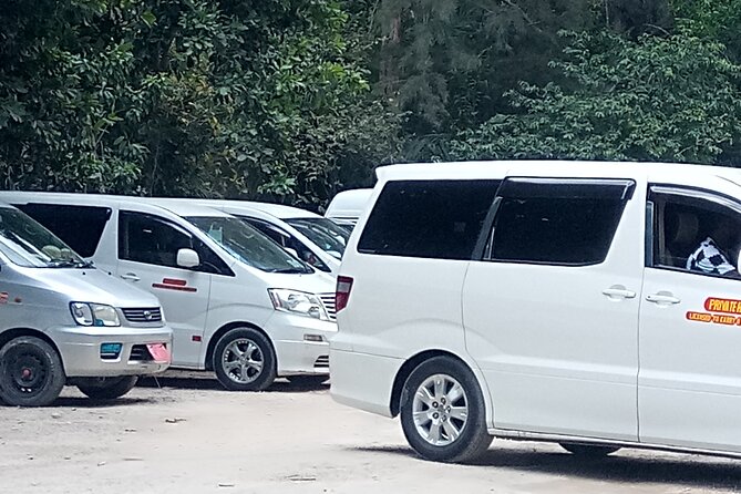 Zanzibar Airport Transfers & Island Shuttles – Book Now - Timing game plan, from airport arrival to hotel drop-off