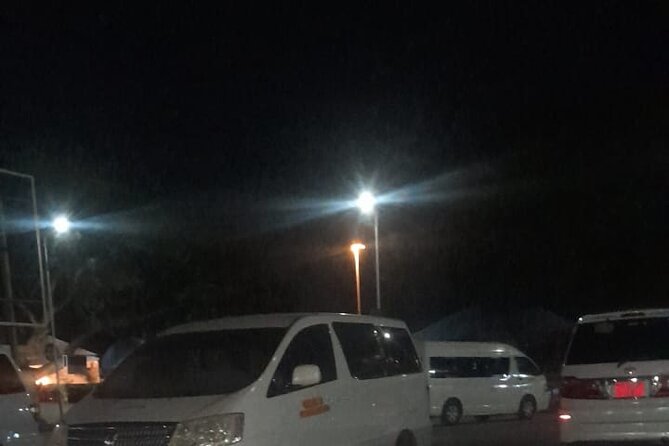 Zanzibar Airport Transfers Pickup and Drop off - Drop-Off in Stone Town or Your Chosen Destination
