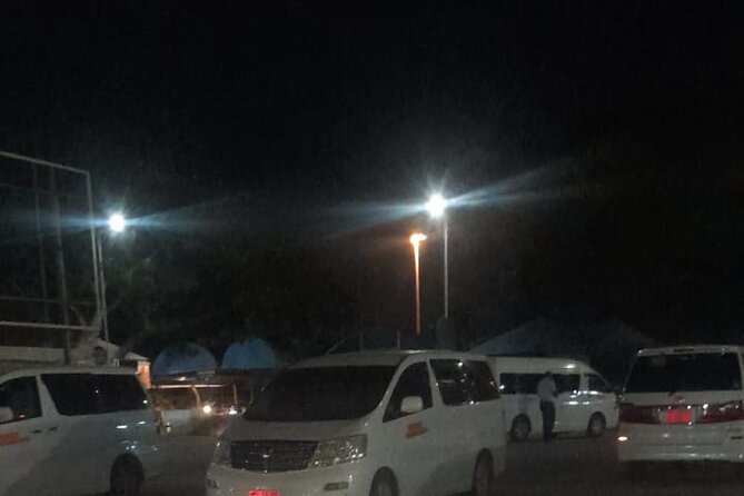 Zanzibar Airport Transfers Pickup and Drop off - Timing, Punctual Pickup, and Planning Ahead