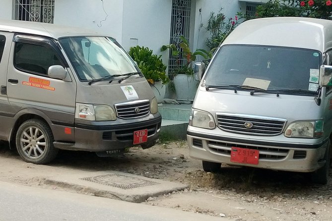 Zanzibar Airport Transfers (Pickup/Shuttles in Zanzibar) - Zanzibar Airport Transfers: Why pre-booking keeps your vacation on track