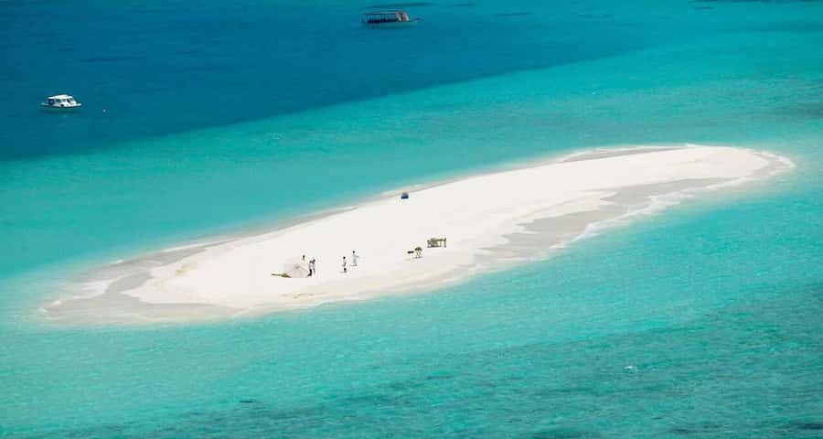 ZANZIBAR:Amazing tour Nakupenda SandBank with fruits - Service that feels personal: guide, captain, punctual timing, and care
