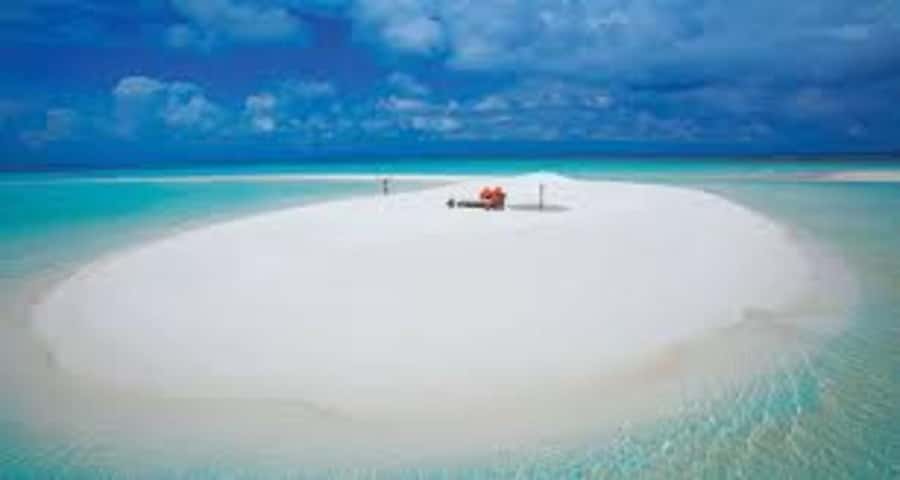 ZANZIBAR:Amazing tour Nakupenda SandBank with fruits - Price check: $80 per person, and where the value comes from