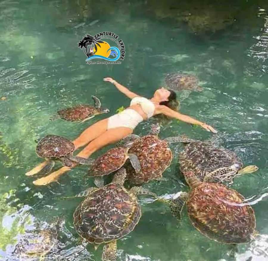 Zanzibar: Baraka Aquarium Feed, Swim & Snorkel with Turtles - Break time, arts and crafts, and small extras you might enjoy