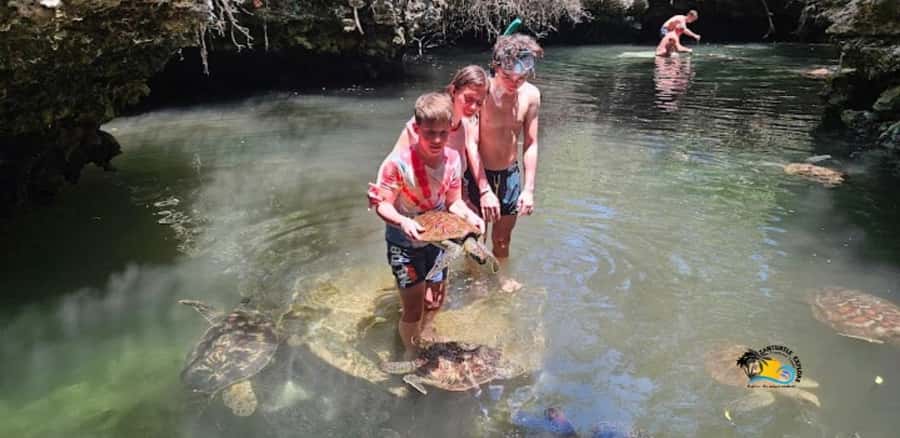 Zanzibar: Baraka Aquarium Feed, Swim & Snorkel with Turtles - Price and value, is $42 fair for this kind of turtle encounter?