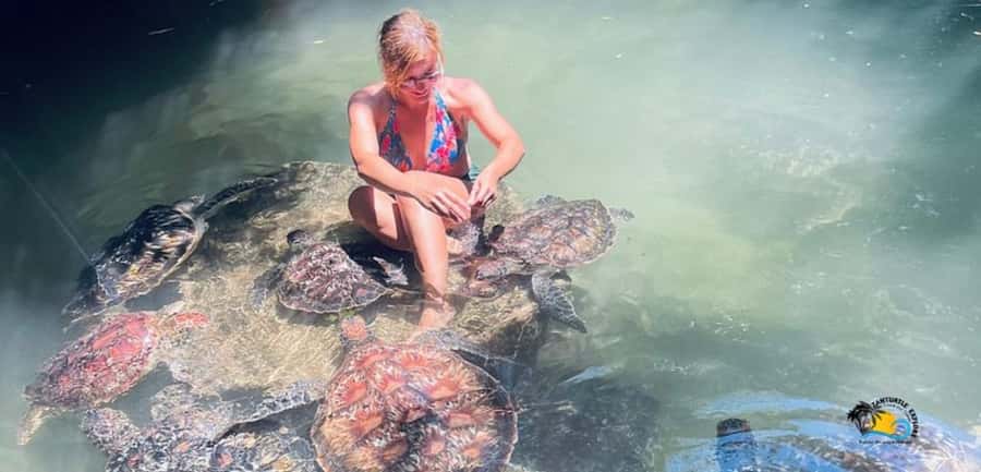 Zanzibar: Baraka Aquarium Feed, Swim & Snorkel with Turtles - Getting there from Nungwi, timing and transfer reality