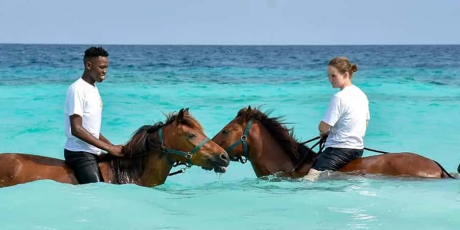 Zanzibar: Beach Horseback Ride and Swim with the Horse - Key things I’d zero in on