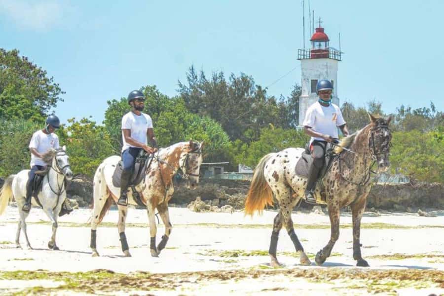 Zanzibar: Beach Horseback Ride and Swim with the Horse - From hotel pickup to beach in a smooth, short window