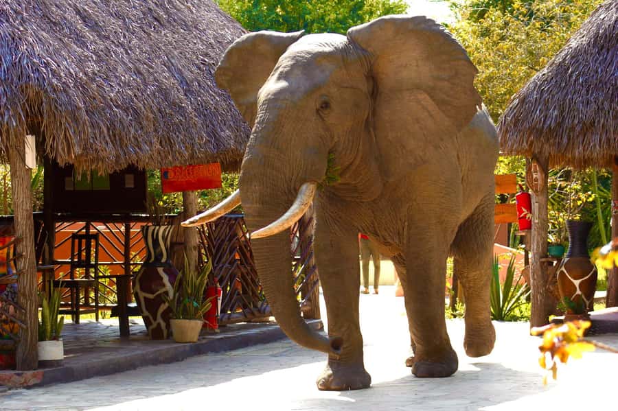 Zanzibar: Best Selous Day Safari with Flights & Lunch - The drive back to the airstrip by 15:30, then the 16:15 flight