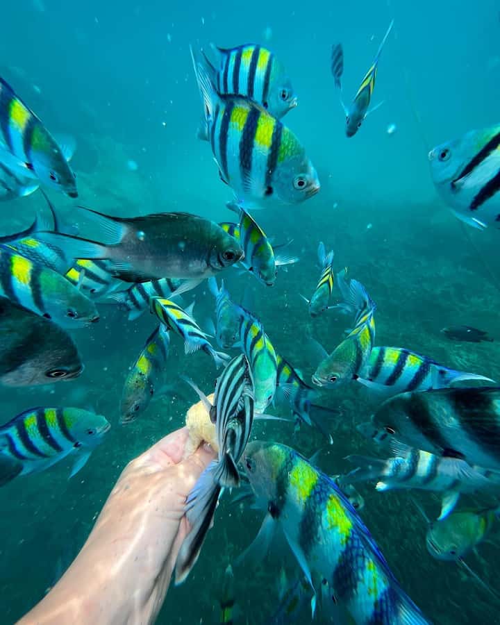 Zanzibar: Blue Lagoon, Rock Restaurant, Cave, and Beach Trip - Should You Book This Zanzibar Blue Lagoon, Rock Restaurant, Cave, and Beach Trip?
