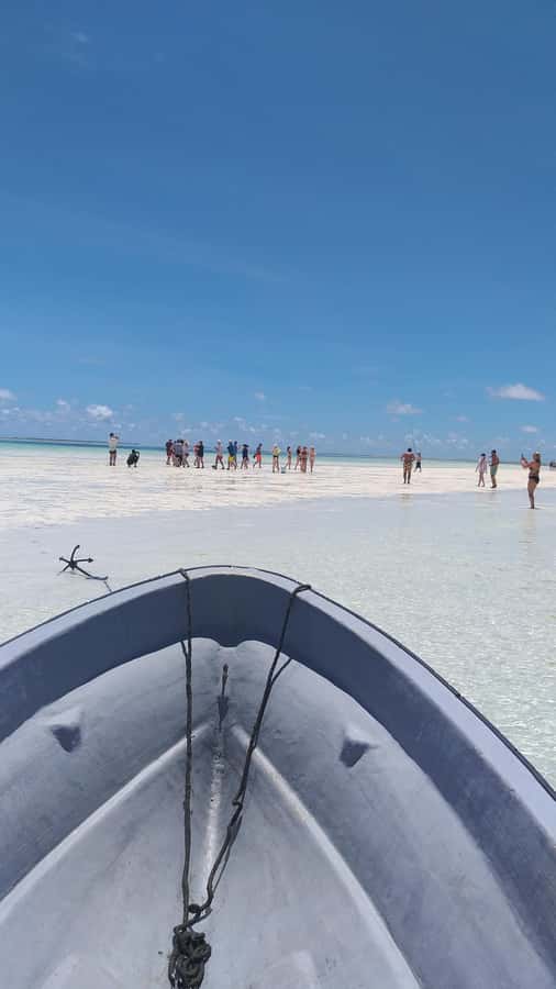 Zanzibar: Blue lagoon & Starfish - The low-tide sandbank: starfish spotting you can actually reach