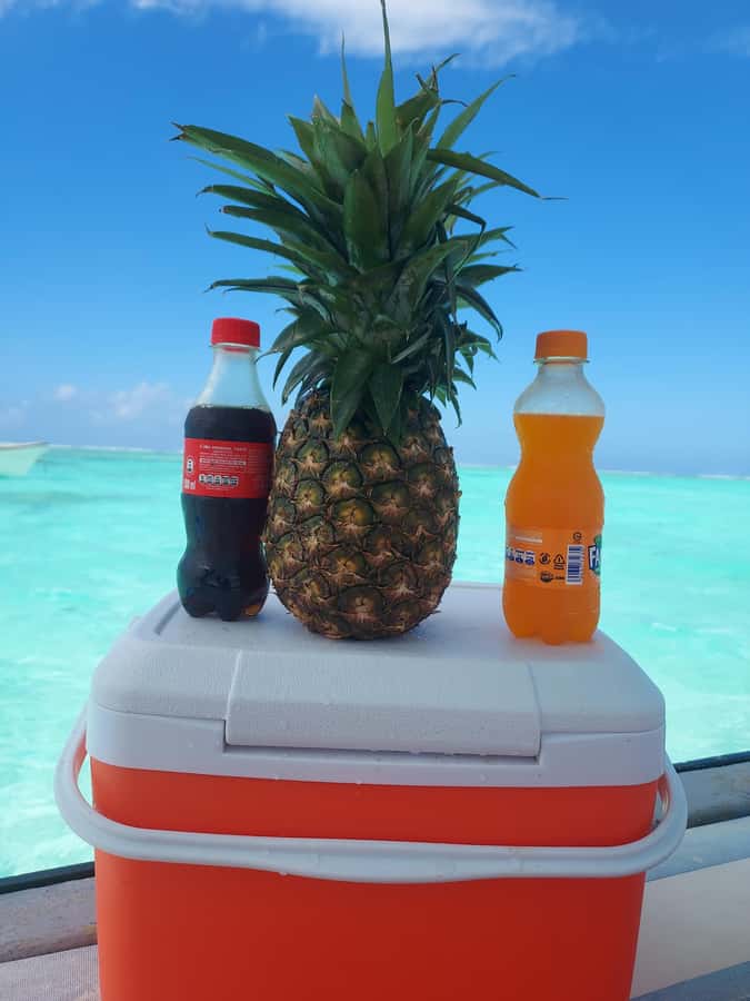 Zanzibar: Blue lagoon & Starfish - Time on the water: how the 6 hours usually feel