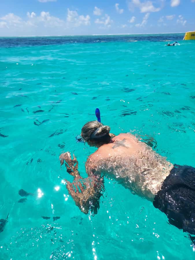 Zanzibar: Blue lagoon & Starfish - Price and value: is $119 a fair deal?