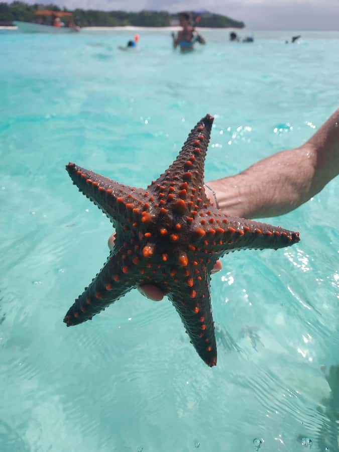 Zanzibar: Blue lagoon & Starfish - Who should book this Blue Lagoon and Starfish trip
