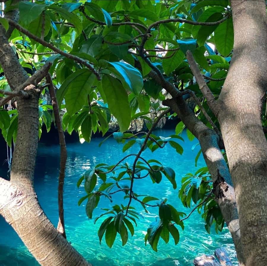 Zanzibar: Blue lagoon, Starfish, Paje Beach and Maalum Cave - Key points to know before you go