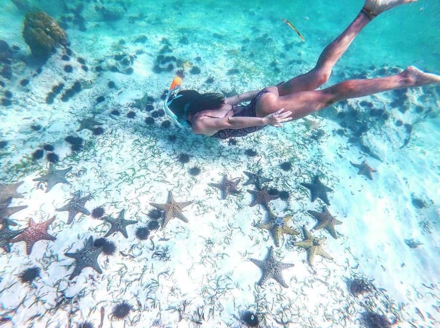 Zanzibar: Blue lagoon, Starfish, Paje Beach and Maalum Cave - A focused south Zanzibar day, built around water and caves