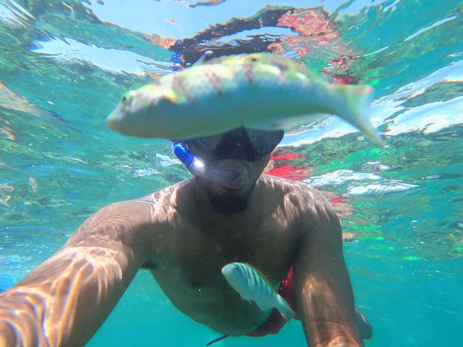 Zanzibar: Blue lagoon, Starfish, Paje Beach and Maalum Cave - Languages, guides, and the human touch