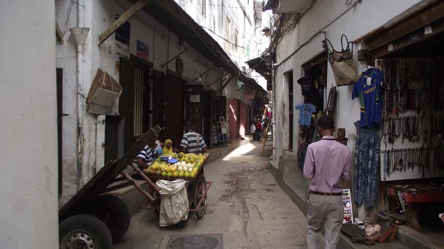 Zanzibar: Changuu Island and Stone Town Tour with Lunch - Stone Town on Foot: UNESCO Architecture and Real Neighborhood Life