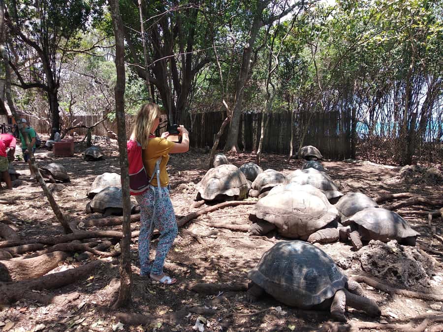 Zanzibar: Changuu Island and Stone Town Tour with Lunch - Price and Value: What $78 Covers (and What You Might Still Pay)