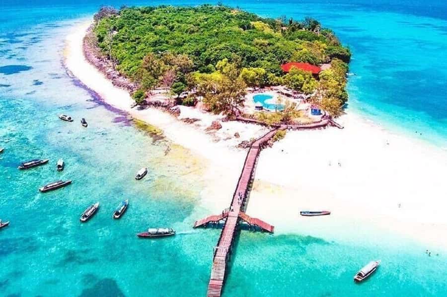 Zanzibar: Combo Zanzi Prison & Nakopenda Island & Stone town - Should You Book This Zanzibar Prison Island, Nakupenda, and Stone Town Combo?