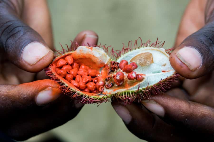 Zanzibar: Day Jozani Forest,Spice Farm,Nature and Savor Tour - Key highlights you will feel right away