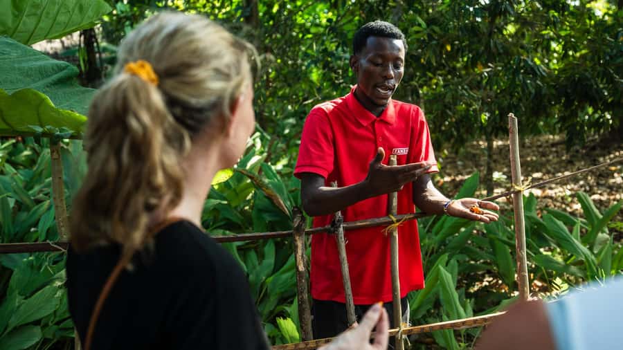 Zanzibar: Day Jozani Forest,Spice Farm,Nature and Savor Tour - Jozani Forest National Park: red colobus, hardwood forest, and a mangrove boardwalk