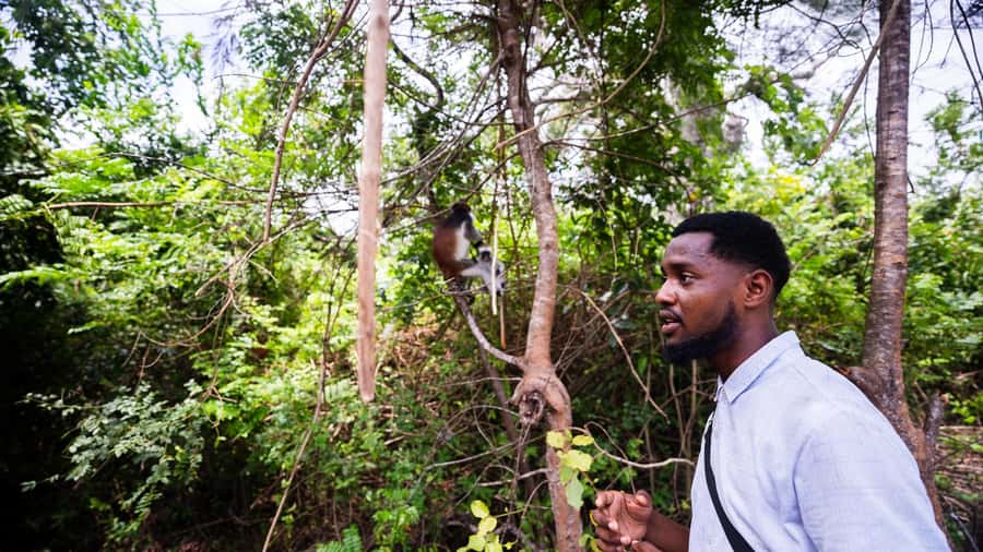 Zanzibar: Day Jozani Forest,Spice Farm,Nature and Savor Tour - Timing in a 6-hour day: van rides, guided time, and staying comfortable