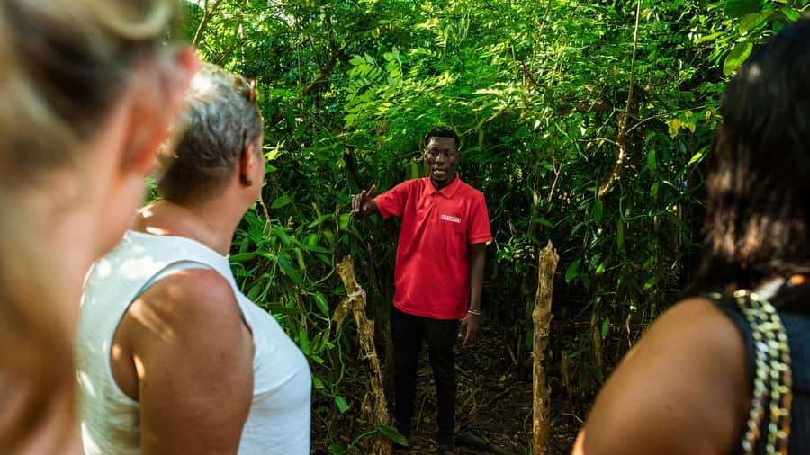 Zanzibar: Day Jozani Forest,Spice Farm,Nature and Savor Tour - Price and value: is $90 fair for Jozani plus a guided spice farm?