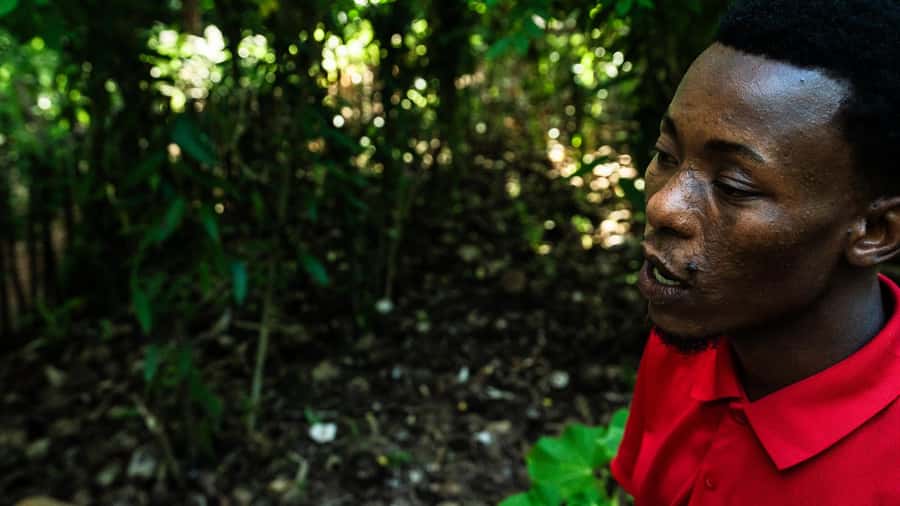 Zanzibar: Day Jozani Forest,Spice Farm,Nature and Savor Tour - Who should choose this Jozani and spice farm tour (and who might not)