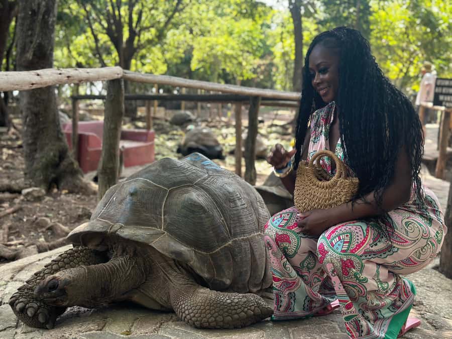 Zanzibar: Day Trip Stone Town, Spice farm,Prison Island - Stone Town Walking Tour, and Why the Old Streets Feel Personal