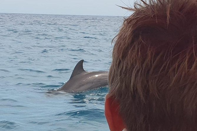 Zanzibar Deep Sea Fishing & Local fishing. - Mnemba Island Snorkeling: Reef Fish and Marine Reserve Magic