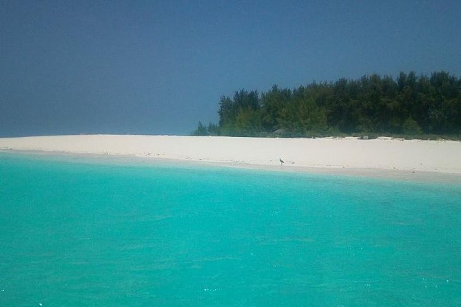 Zanzibar Deep Sea Fishing & Local fishing. - How the Half Day Schedule Really Feels (6:30am to About Noon)