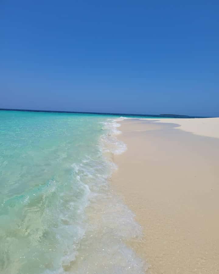 Zanzibar: Discover fullday snorkeling +sandbank BBQ - Pungume Island snorkeling and safety briefing, what you do first