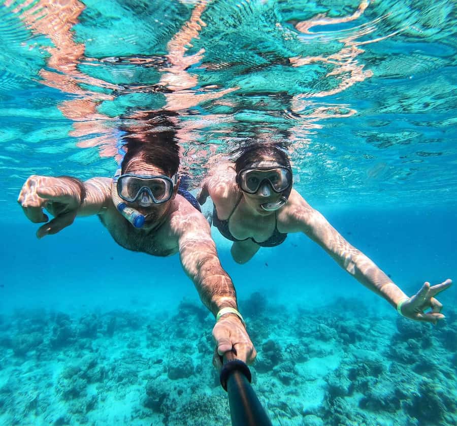 Zanzibar dolphins+ snokling at mnemba with turles swimming - Key things that make this tour worth your attention