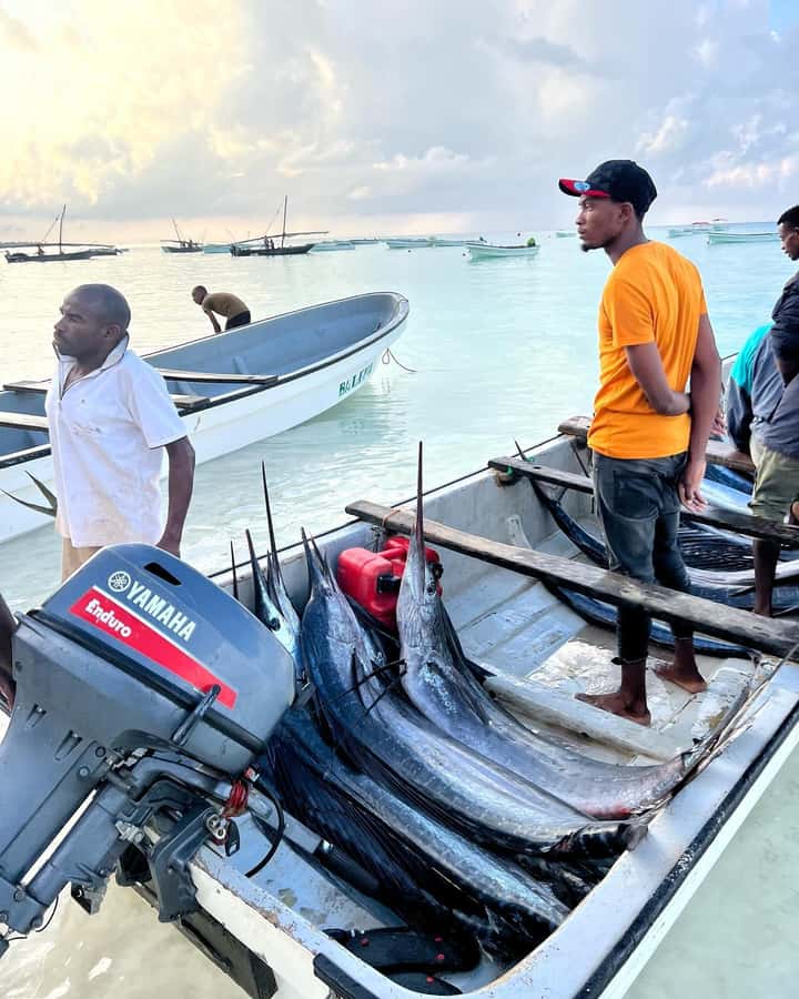 ZANZIBAR FISHING EXPRIENCE - Quick Takes You Can Use