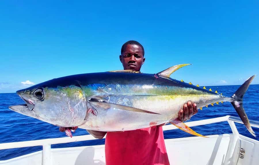 ZANZIBAR FISHING EXPRIENCE - The Deep-Water Part: Tuna, Kingfish, Marlin, Dorado