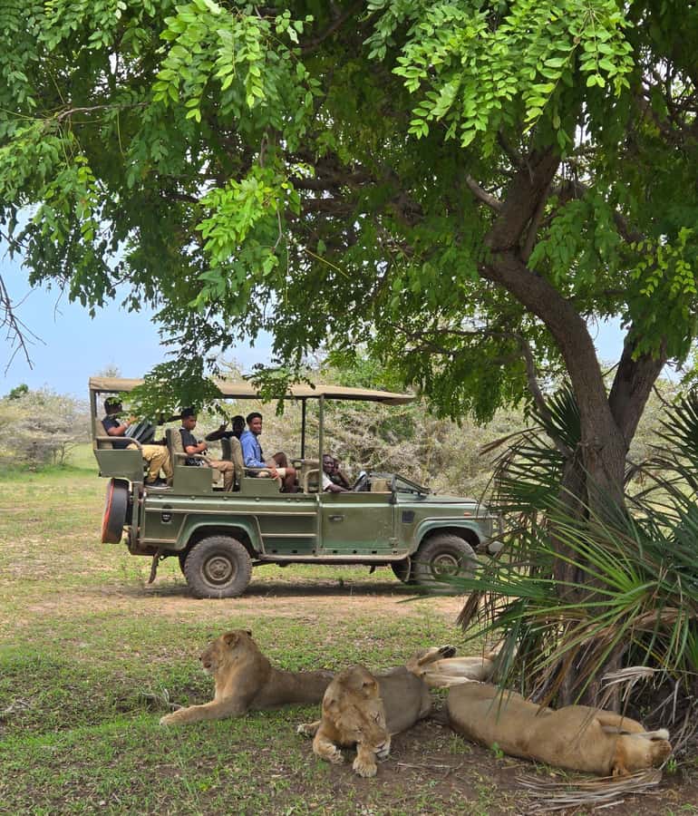 Zanzibar: Fly to Nyerere National Park – 2-Day Safari - Key Highlights You’ll Actually Feel