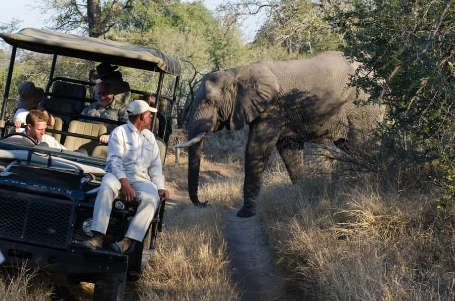 Zanzibar: Fly to Nyerere National Park – 2-Day Safari - From Zanzibar to Selous Nyerere, Flights Do the Heavy Lifting