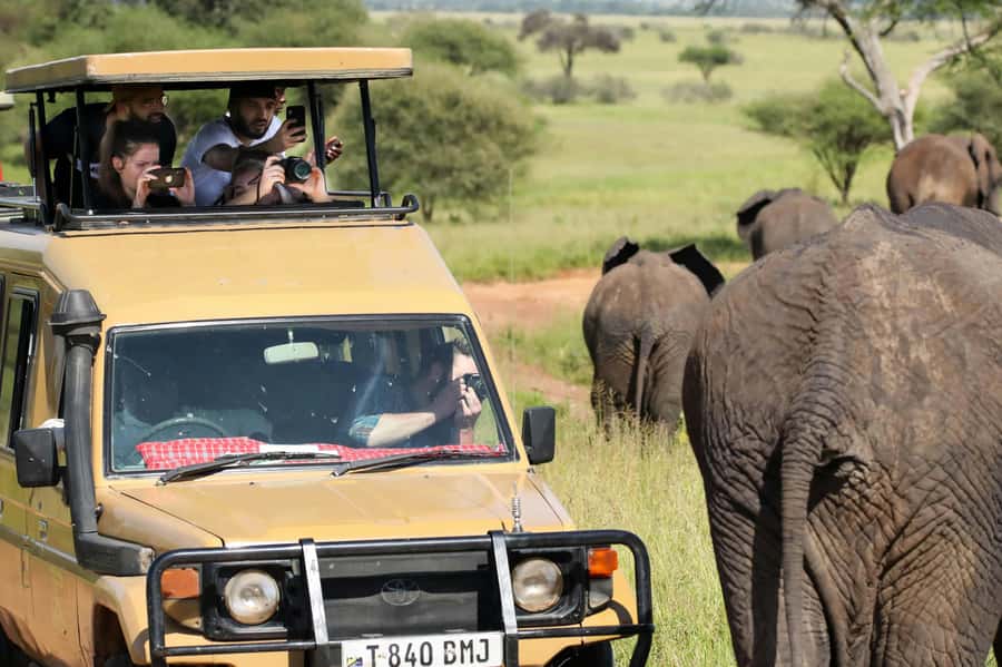 Zanzibar: Fly to Nyerere National Park – 2-Day Safari - Rufiji River Boat Safari: A Different Kind of Wildlife Day