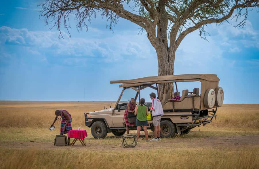 Zanzibar: Fly to Nyerere National Park – 2-Day Safari - Who This Safari Fits Best, and Who Should Skip It