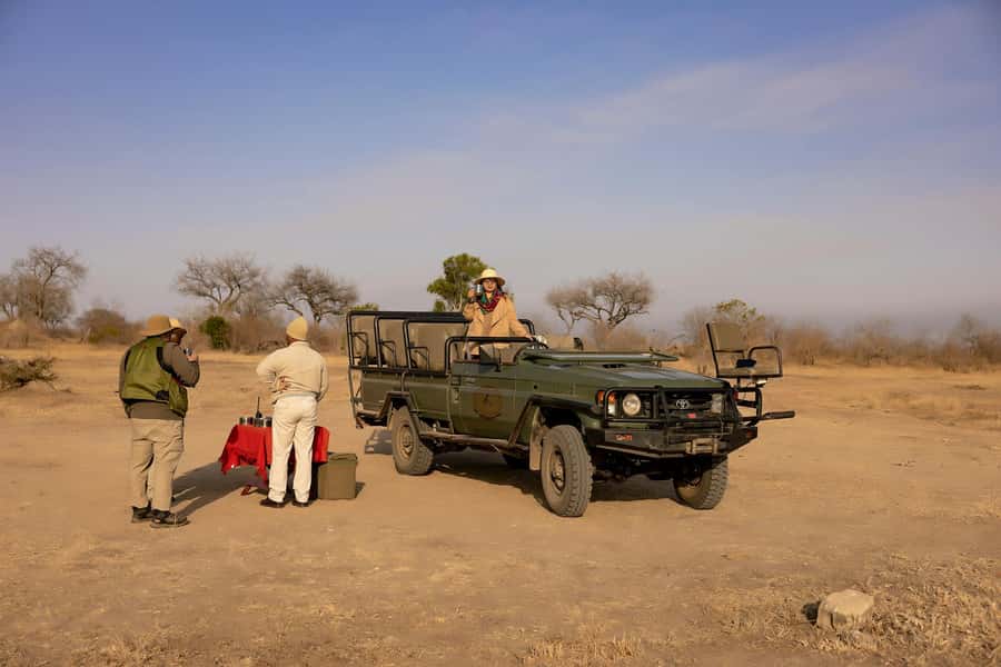 Zanzibar: Fly to Nyerere National Park – 2-Day Safari - Should You Book This 2-Day Safari From Zanzibar?