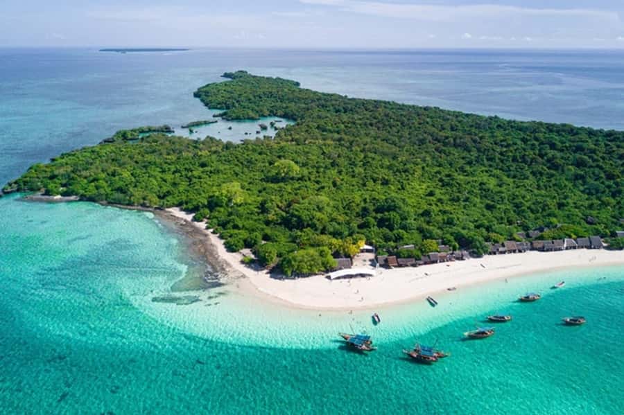 Zanzibar: Full-Day Conservation Safari with BBQ Lunch - Menai Bay Conservation, but With a Dhow Pace