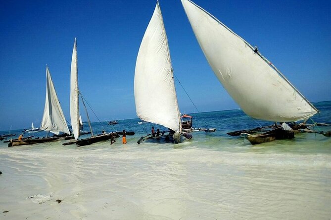 Zanzibar Full Day Mnemba Island, Nungwi and Kendwa Beach Tour - Key Things to Know Before You Go