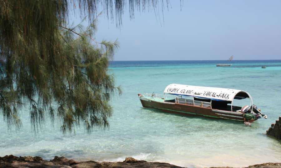 Zanzibar: Full-Day Protected Chumbe Island Tour w. Lunch - Forest trails, intertidal zone, and the island’s learning side